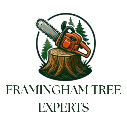 Framingham_Tree_Experts 2