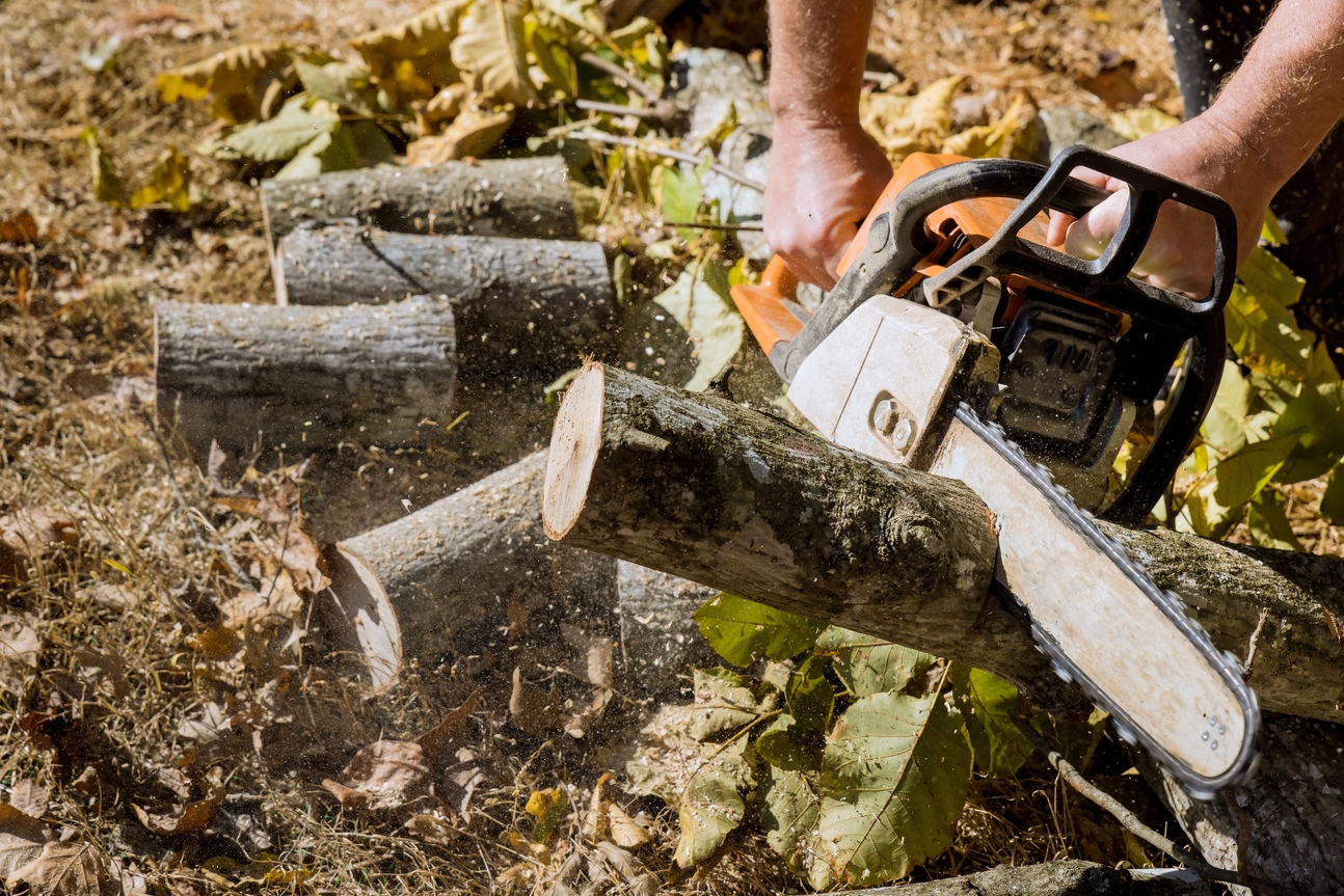stump cutting with machine