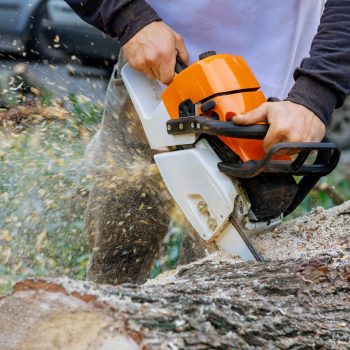 stump cutting