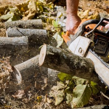 stump cutting with machine